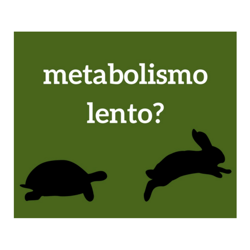 Metabolismo lento: perché?