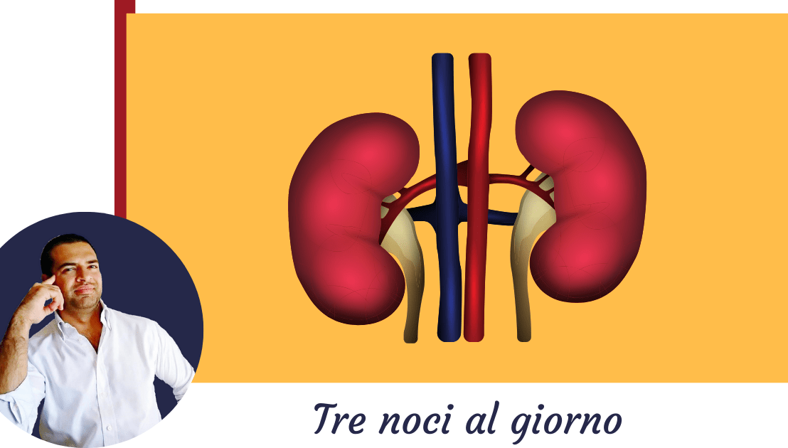 Le proteine fanno male ai reni e al&nbsp;fegato?